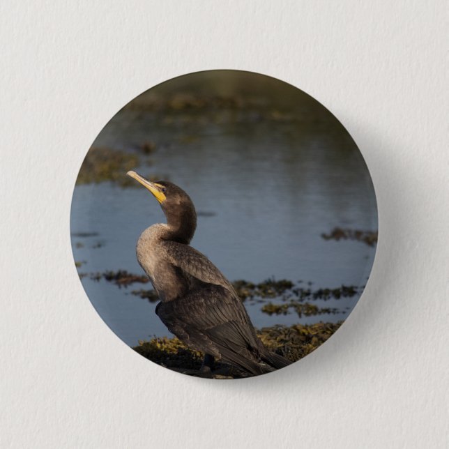 Double breasted cormorant button (Front)