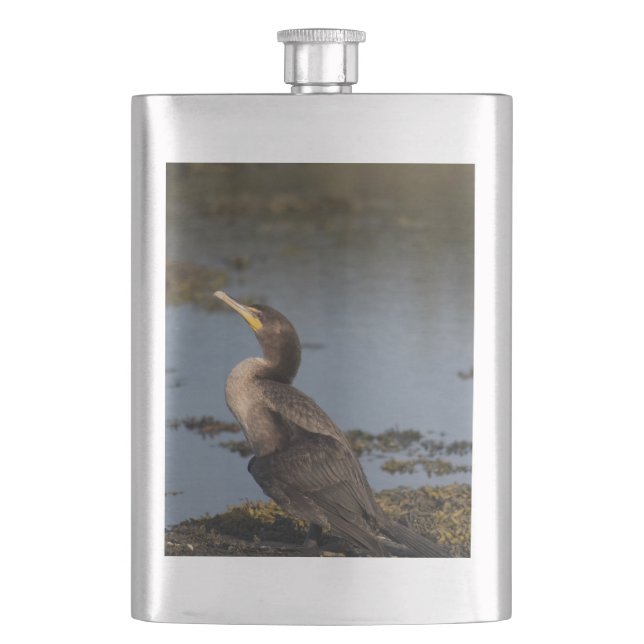 Double breasted cormorant flask (Front)
