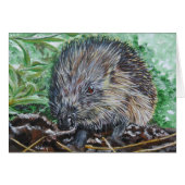 Double card Egel. (Front Horizontal)