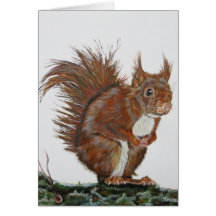 Double card squirrel