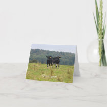 Double Cattle Troube Thank You Card