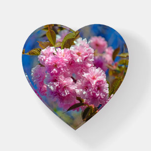 Double Cherry Blooms Paperweight