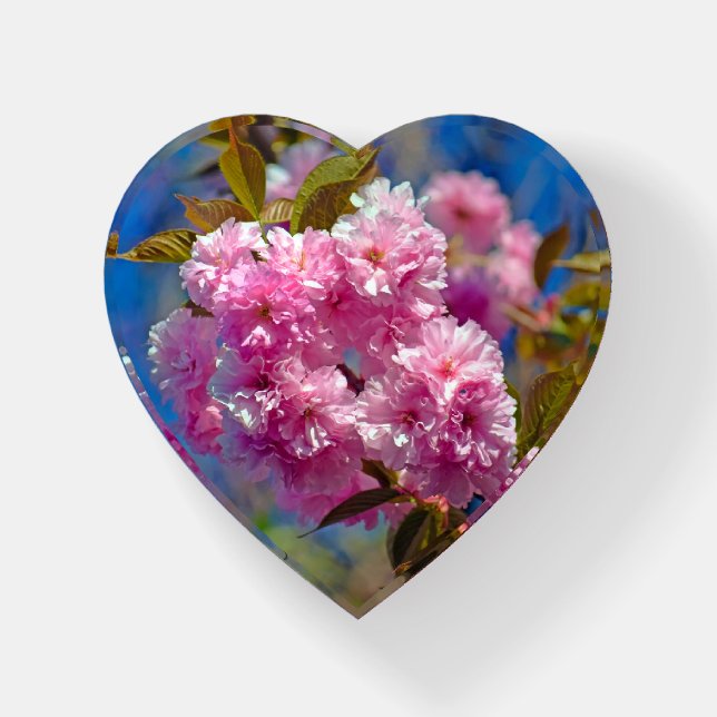 Double Cherry Blooms Paperweight (Front)