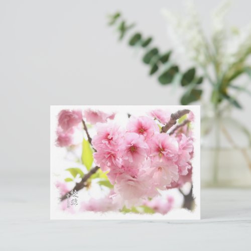 Double Cherry Blossom Ayanishiki ポストカード Postcard