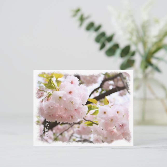 Double Cherry Blossom: Oh-jochin ポストカード Postcard (Standing Front)