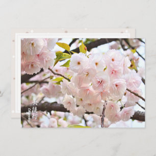 Double Cherry Blossom: Oh-jochin Card
