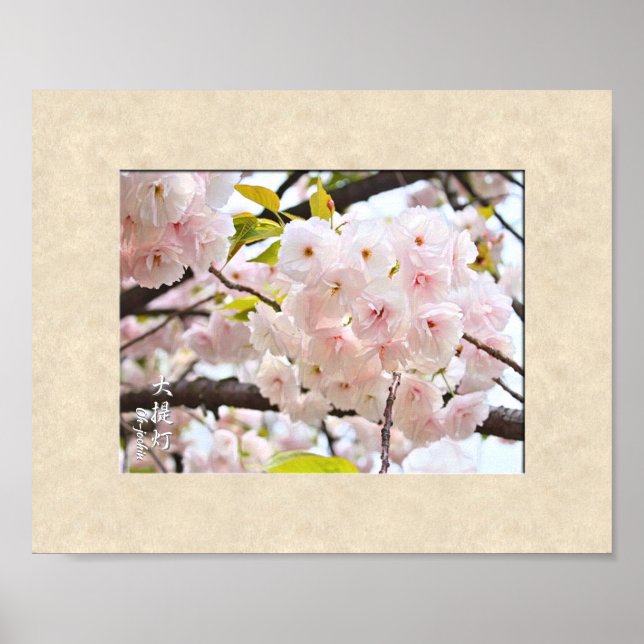 Double Cherry Blossom: Oh-jochin Poster (Front)