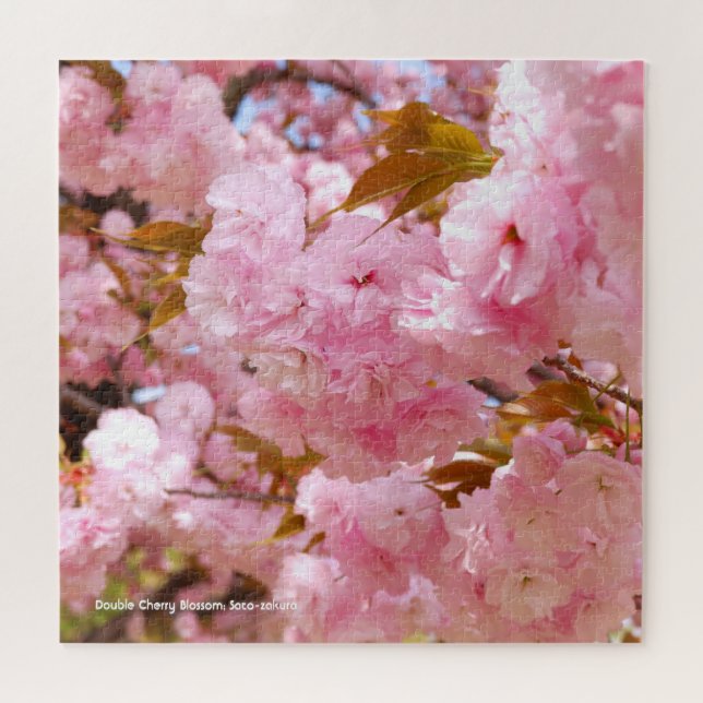 Double Cherry Blossom: Sato-zakura Jigsaw Puzzle (Horizontal)