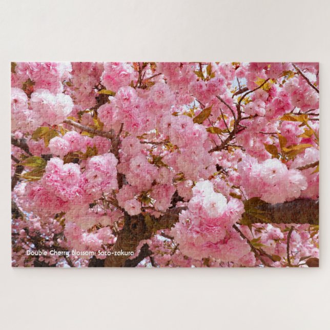 Double Cherry Blossom: Sato-zakura Jigsaw Puzzle (Horizontal)