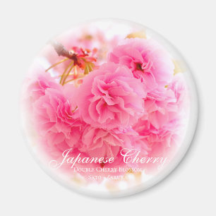 Double Cherry Blossom: Sato-zakura Magnet