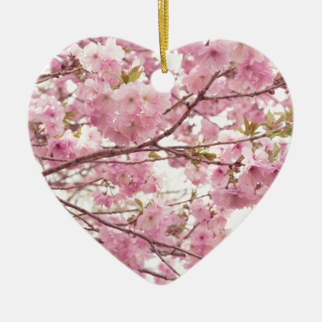 Double cherry blossoms in Japan Ceramic Ornament (Front)