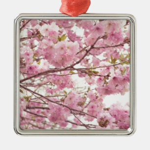 Double cherry blossoms in Japan Metal Ornament