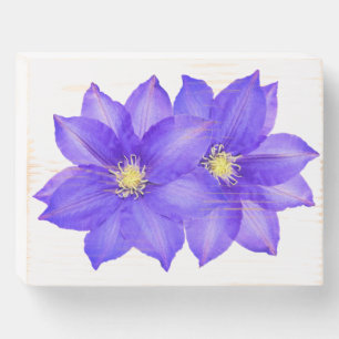 Double Clematis Wooden Box Sign Plaque Wall Art