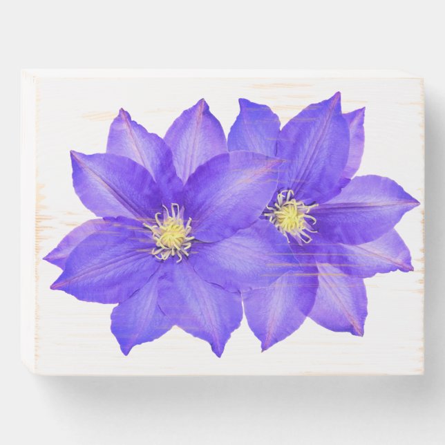Double Clematis Wooden Box Sign Plaque Wall Art (Front Horizontal)