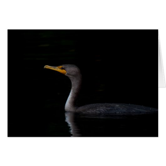 Double Crested Cormorant 01 Cards (Front Horizontal)
