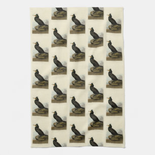 Double-crested Cormorant Audubon Birds of America Kitchen Towel