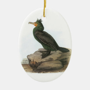 Double-crested Cormorant by Audubon Ceramic Ornament