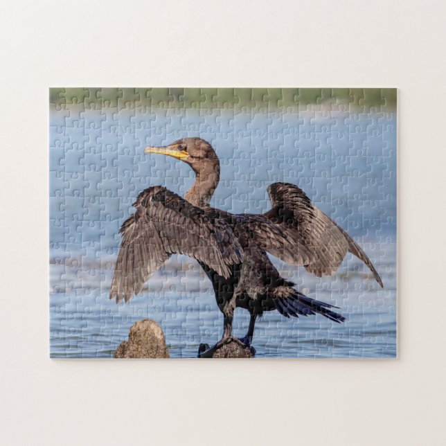 Double-crested Cormorant on Lake Champlain Jigsaw Puzzle (Horizontal)