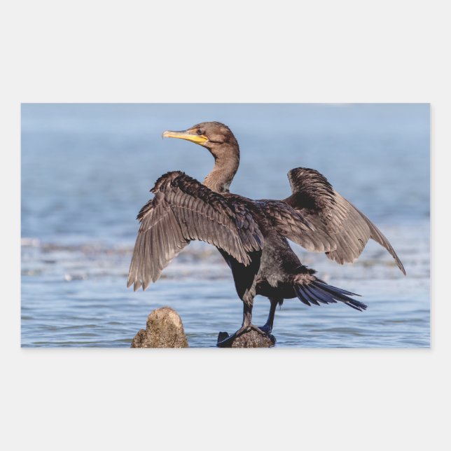 Double-crested Cormorant on Lake Champlain Rectangular Sticker (Front)