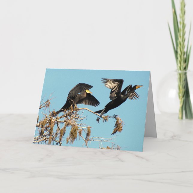 Double Crested Cormorants Take Flight (2537) Card (Front)
