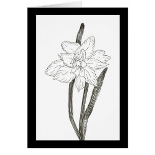 Double Daffodil Cards