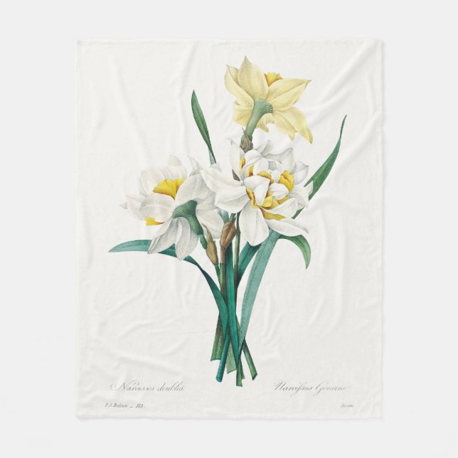 Double Daffodil,  Pierre-Joseph Redouté, 1827 Fleece Blanket (Front)