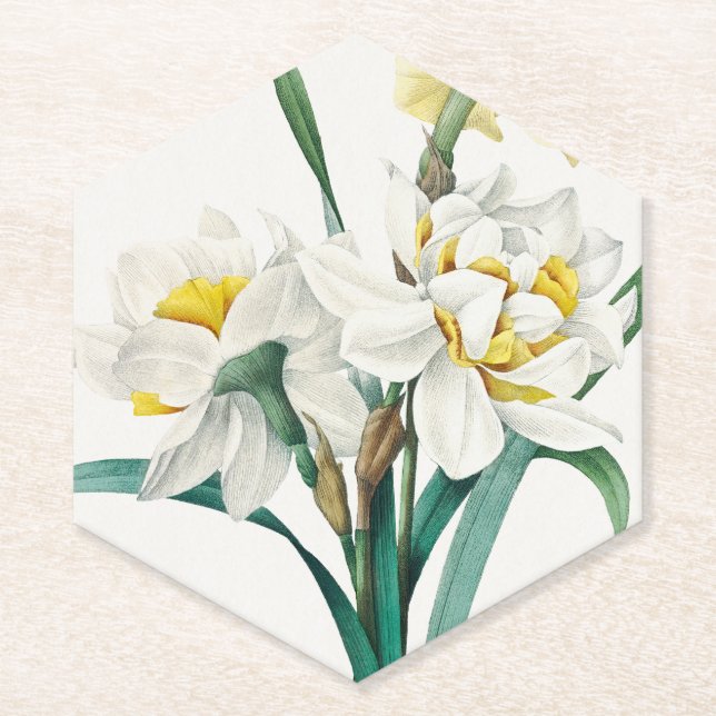 Double Daffodil,  Pierre-Joseph Redouté, 1827 Paper Coaster (Front)