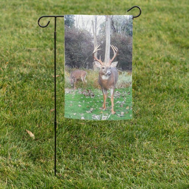 Double Deer Garden Flag (In SItu)