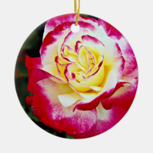 Double Delight Hybrid Tea Rose 'Andeli' White flow Ceramic Ornament