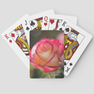 Double Delight Rose Poker Cards