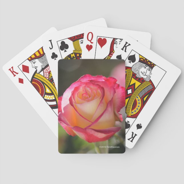 Double Delight Rose Poker Cards (Back)