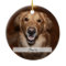 Double Dog Picture Christmas Tree Ornament