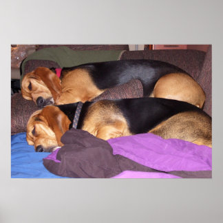 Double Dog Tired Poster