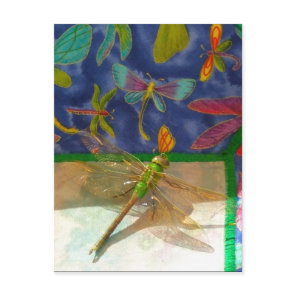 Double dragonfly postcard