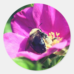Double Duty Bees Flower Classic Round Sticker