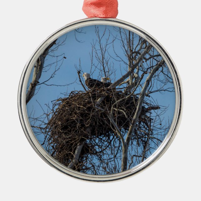 Double Eagle Trouble Metal Ornament (Front)