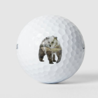 Double Exposure Bear and Woods Golf Balls