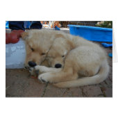 Double Ice Block (Front Horizontal)