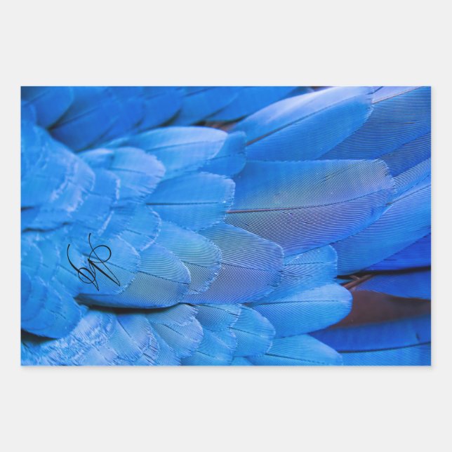 Double initials monogrammed blue feather wing bird wrapping paper sheets (Front)