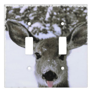 double light switch cover