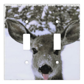 double light switch cover