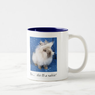 Double Lionhead mug