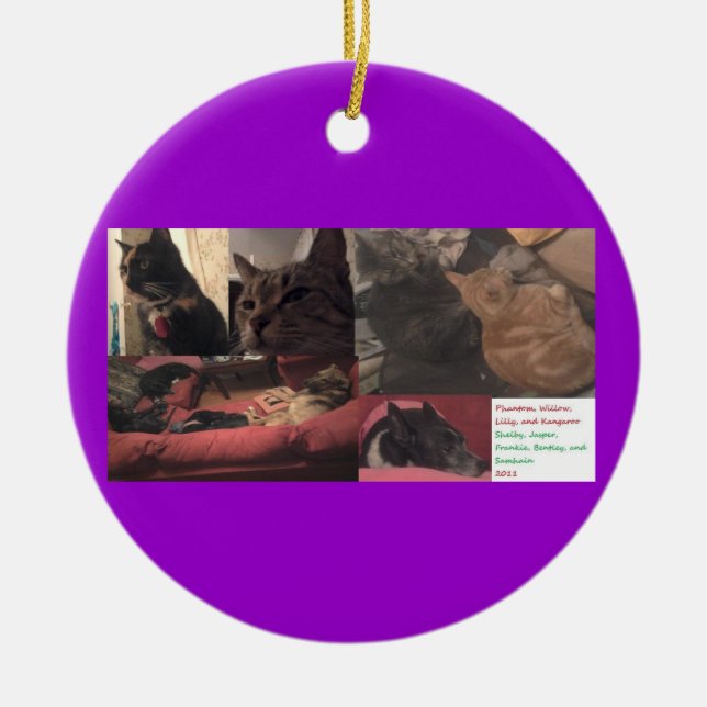 Double Ornament in one #2 (Front)