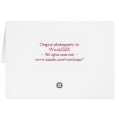 Double pink blooms cards (Back Horizontal)