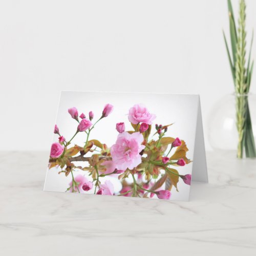 Double Pink Cherry Blossoms in Welcome Spring Card