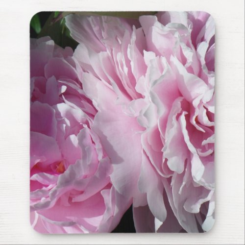 Double pink peonies DPP Mouse Pad