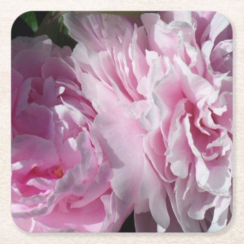 Double pink peonies set of 6 paper coasters