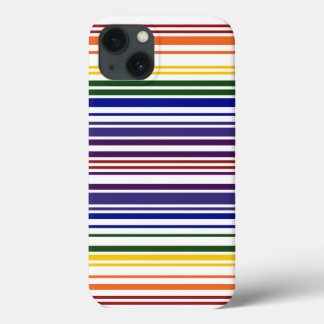 Double Rainbow Barcode iPhone 13 Case
