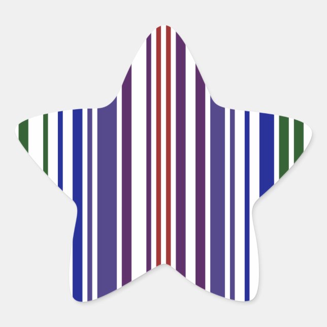 Double Rainbow Barcode Star Sticker (Front)