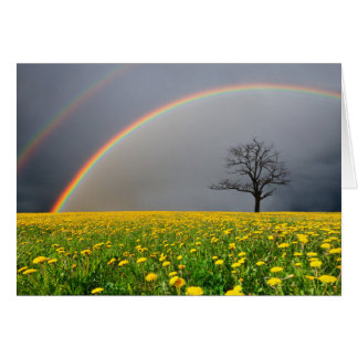 Double Rainbow Cards